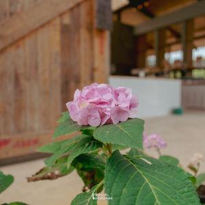 รูปภาพที่ 9