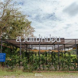 รูปภาพที่ 8