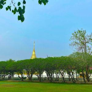 รูปภาพที่ 2