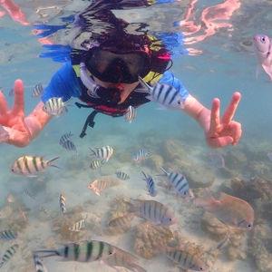 รูปภาพที่ 1