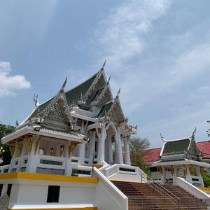 รูปภาพที่ 8