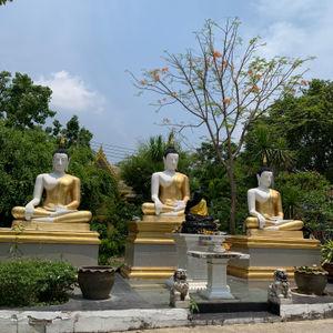รูปภาพที่ 5