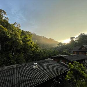 รูปภาพที่ 5
