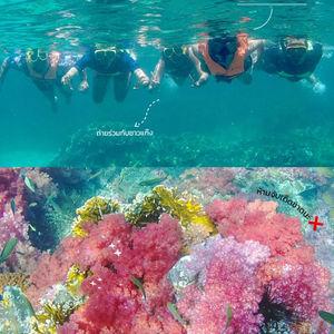 รูปภาพที่ 3