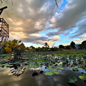 รูปภาพที่ 8