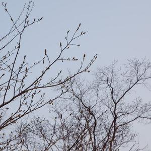 รูปภาพที่ 2
