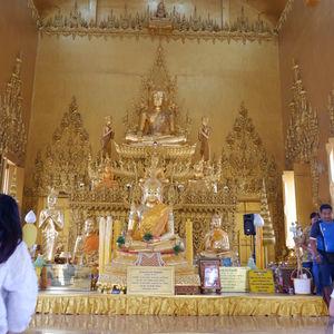 รูปภาพที่ 1