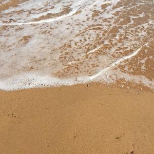 รูปภาพที่ 4