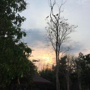 รูปภาพที่ 9