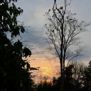 รูปภาพที่ 8