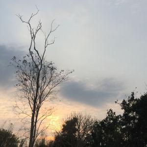 รูปภาพที่ 6