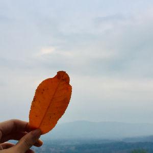 รูปภาพที่ 5