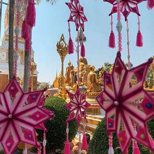 รูปภาพที่ 8