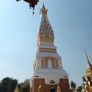 รูปภาพที่ 7