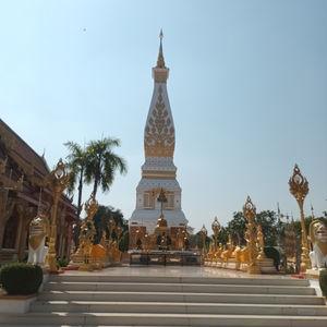 รูปภาพที่ 2