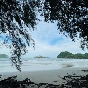รูปภาพที่ 4
