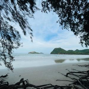 รูปภาพที่ 1