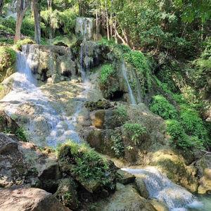 รูปภาพที่ 4