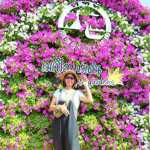รูปภาพที่ 9