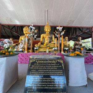 รูปภาพที่ 8