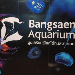 รูปภาพที่ 4