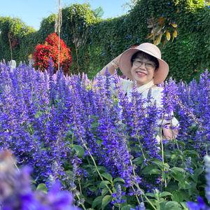 รูปภาพที่ 8