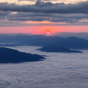 รูปภาพที่ 5