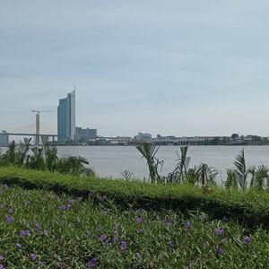 รูปภาพที่ 5