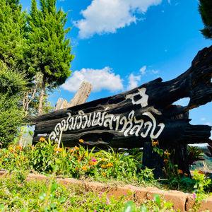 รูปภาพที่ 6