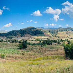 รูปภาพที่ 5