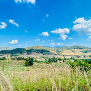 รูปภาพที่ 4