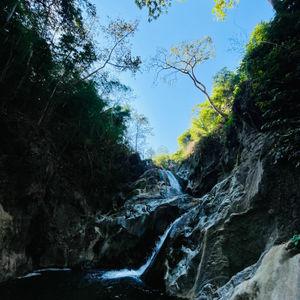 รูปภาพที่ 5