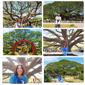 รูปภาพที่ 1
