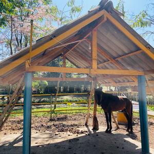 รูปภาพที่ 8