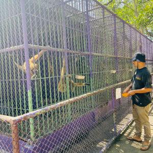 รูปภาพที่ 7