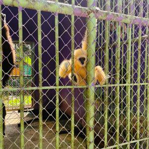 รูปภาพที่ 6