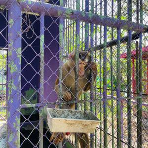 รูปภาพที่ 5