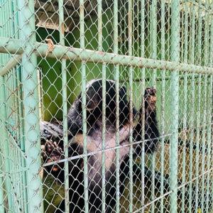 รูปภาพที่ 4