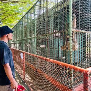 รูปภาพที่ 3