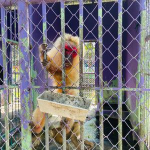 รูปภาพที่ 2