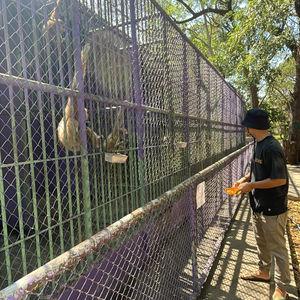 รูปภาพที่ 1