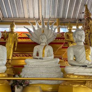 รูปภาพที่ 6