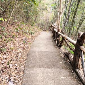 รูปภาพที่ 8