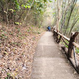 รูปภาพที่ 3