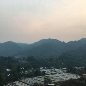 รูปภาพที่ 3