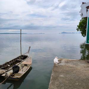 รูปภาพที่ 1