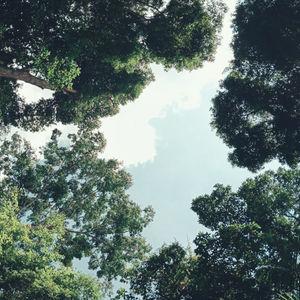 รูปภาพที่ 3