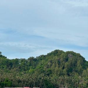 รูปภาพที่ 1