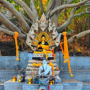 รูปภาพที่ 1