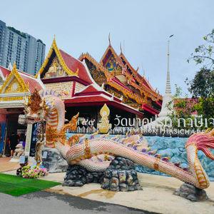 รูปภาพที่ 8